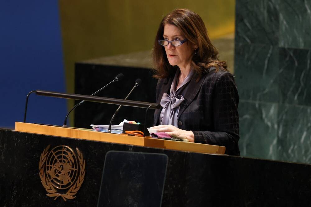 Washington Urges Ukraine and Russia to Support Peace Plan