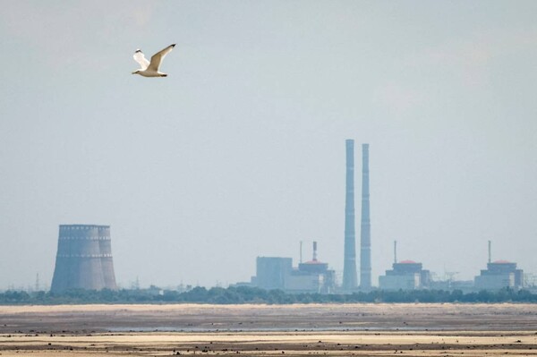 Zaporizhzhia Nuclear Plant: Flashpoint in Peace Plan