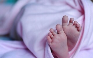 Украинская полиция арестовала мать, пытающуюся продать двухлетнего ребенка